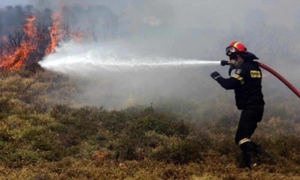 Θεσσαλονίκη: Υπό μερικό έλεγχο η πυρκαγιά σε δασική έκταση στη Μικροκώμη